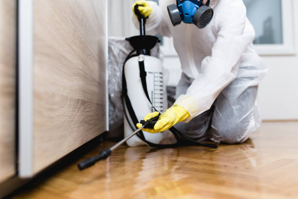 Best Cockroach Control Services  in Hamburg, PA
