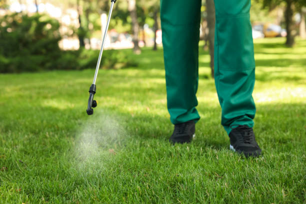Best Affordable Pest Control Services  in Hamburg, PA