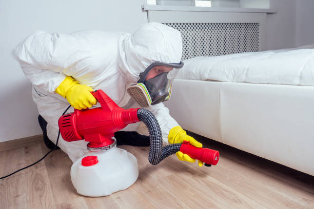 Professional Pest Control in Hamburg, PA