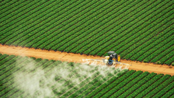 Best Commercial Pest Control Services  in Hamburg, PA