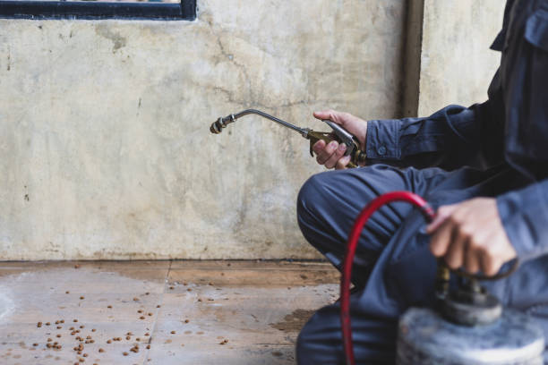 Best Termite Control Services  in Hamburg, PA